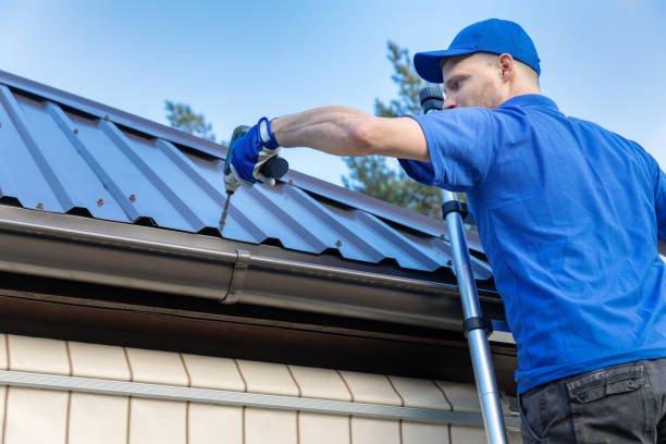 Best Skylight Installation and Repair  in Teutopolis, IL